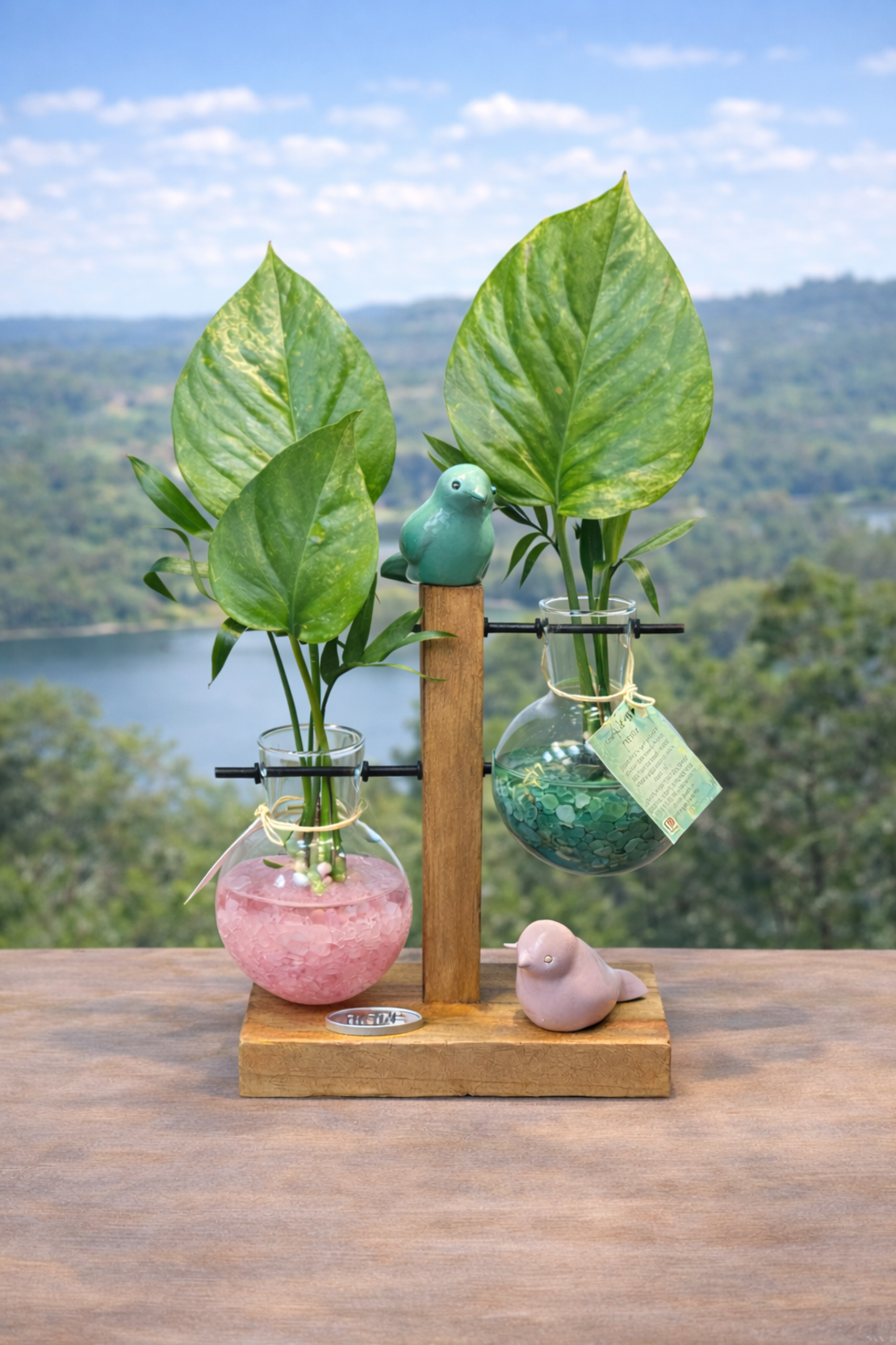 זוגיות בצמיחה – מבחנות קריסטל וצמחים חיים