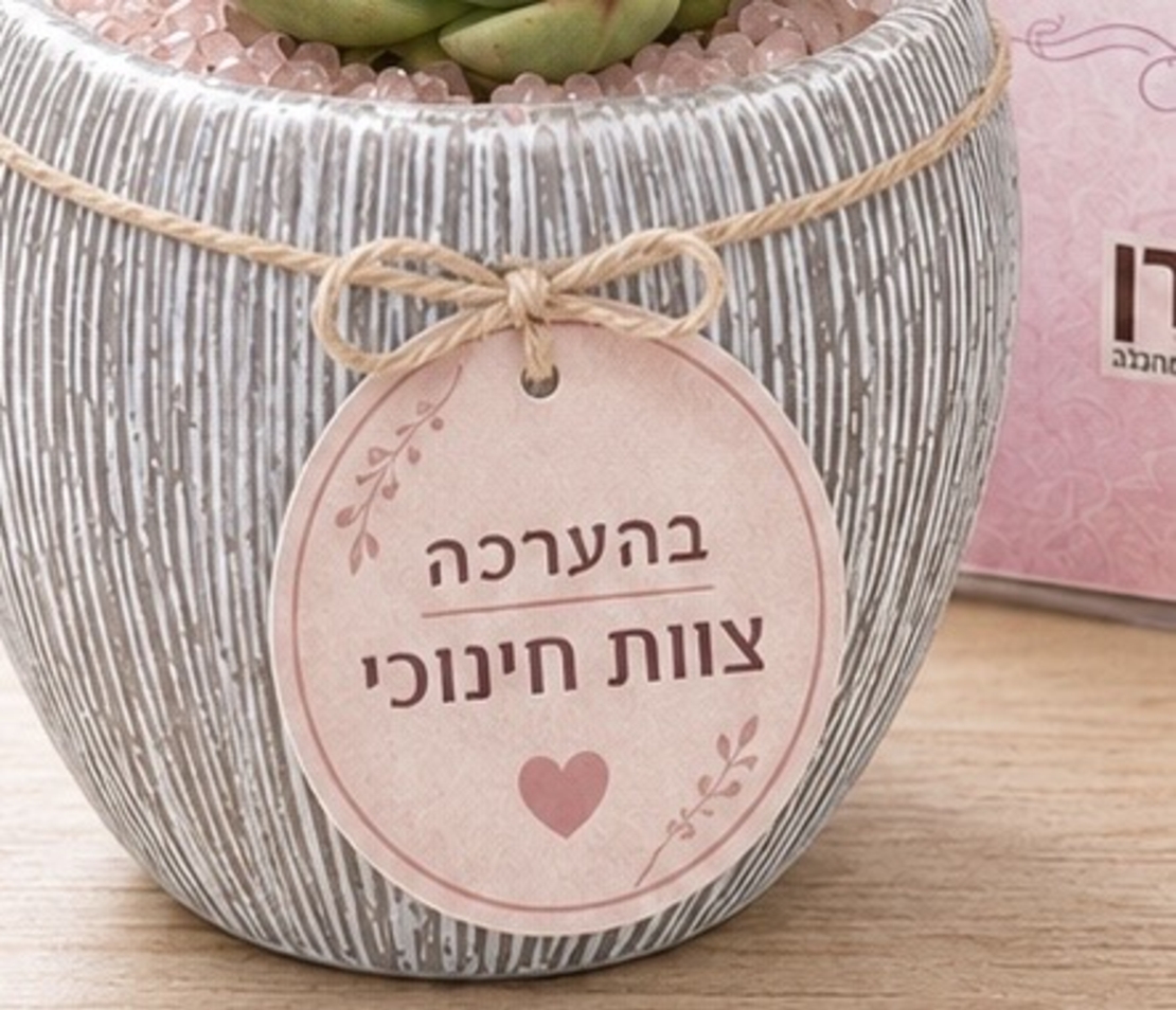 עציץ קריסטל מעוצב