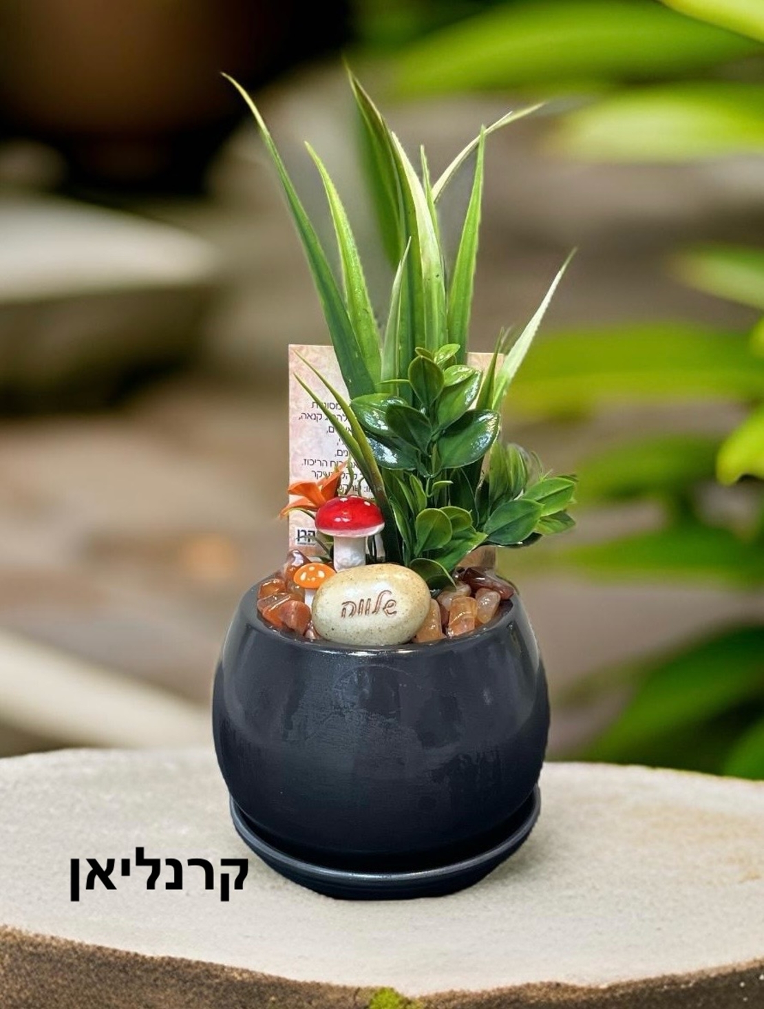 עציצי קריסטל מעוצבים