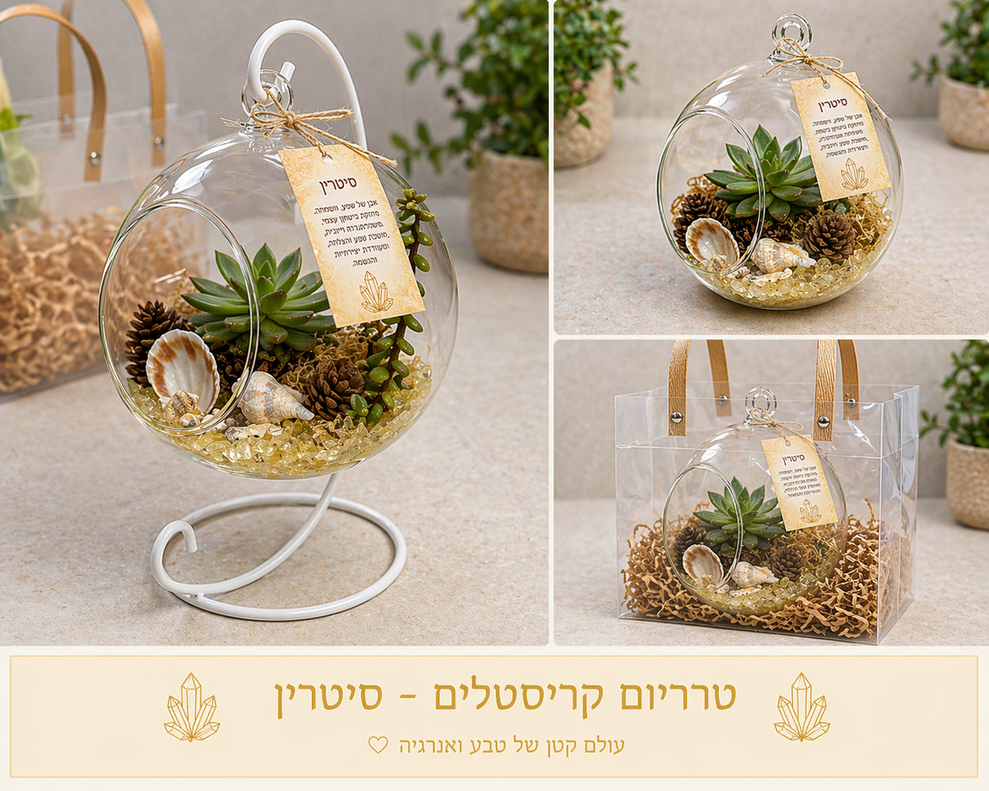 טרריום - עולם קטן של טבע, עיצוב ואנרגיה