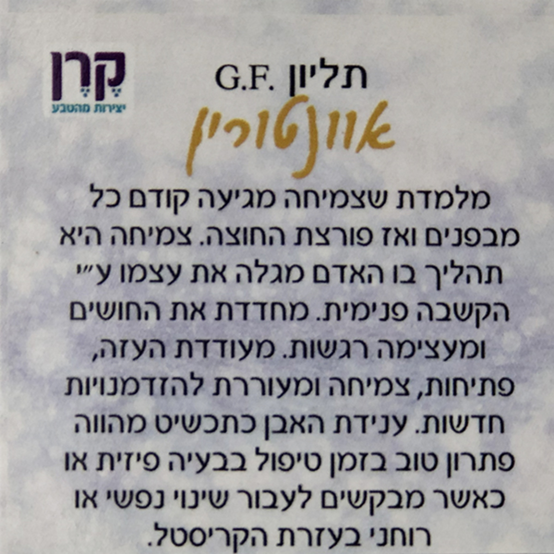 שרשרת עם תליון קריסטל אוונטורין