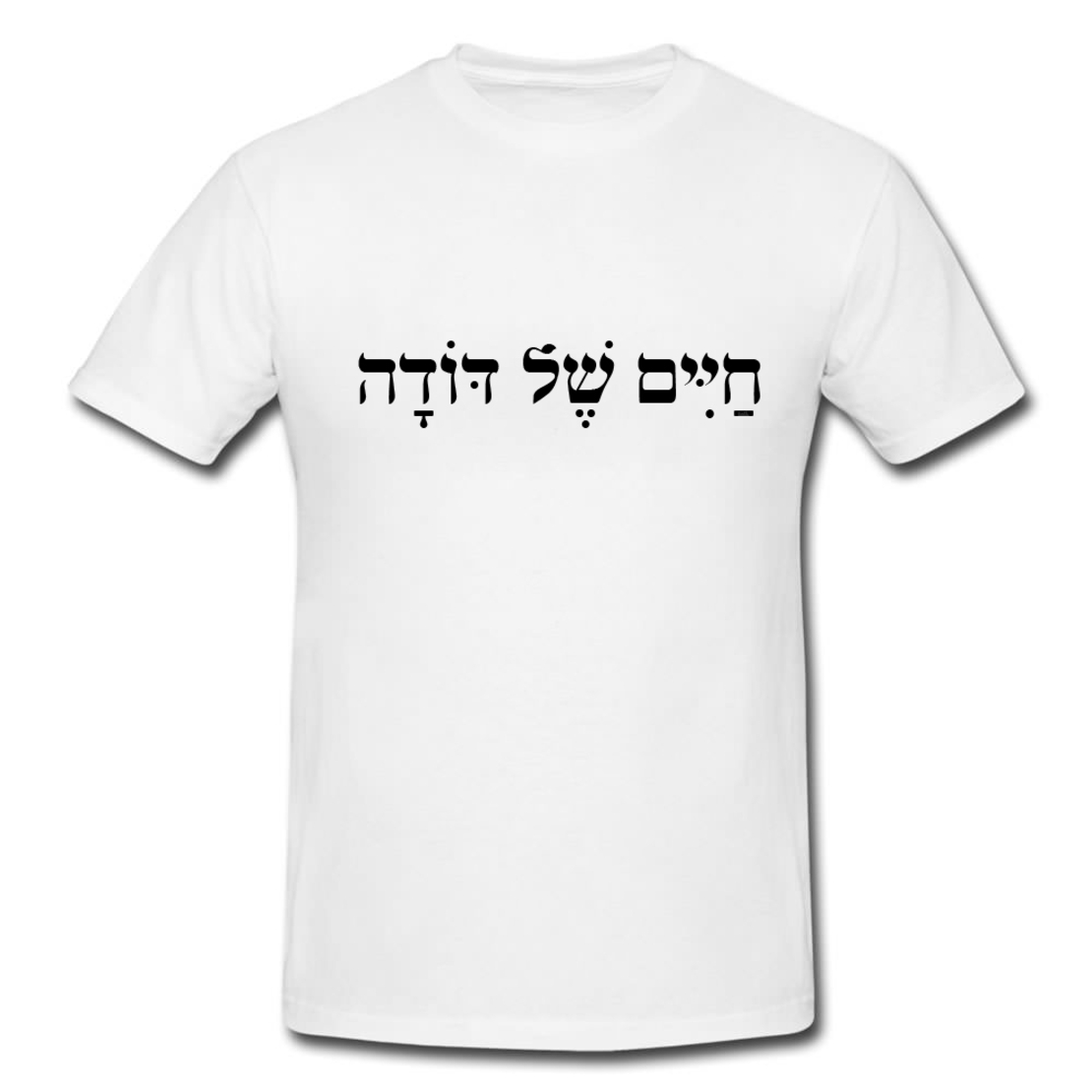 חיים של דודה