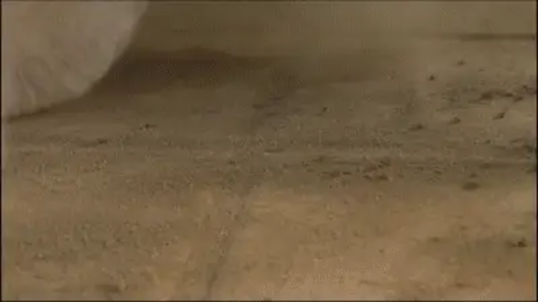 מברשת חשמלית נטענת לניקיון הבית