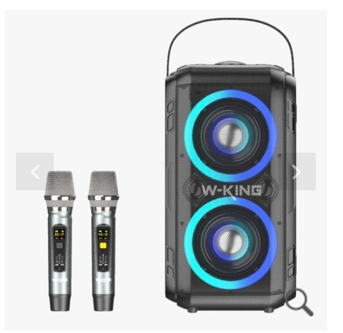 בידורית עם 2 מיקרופונים W-KING