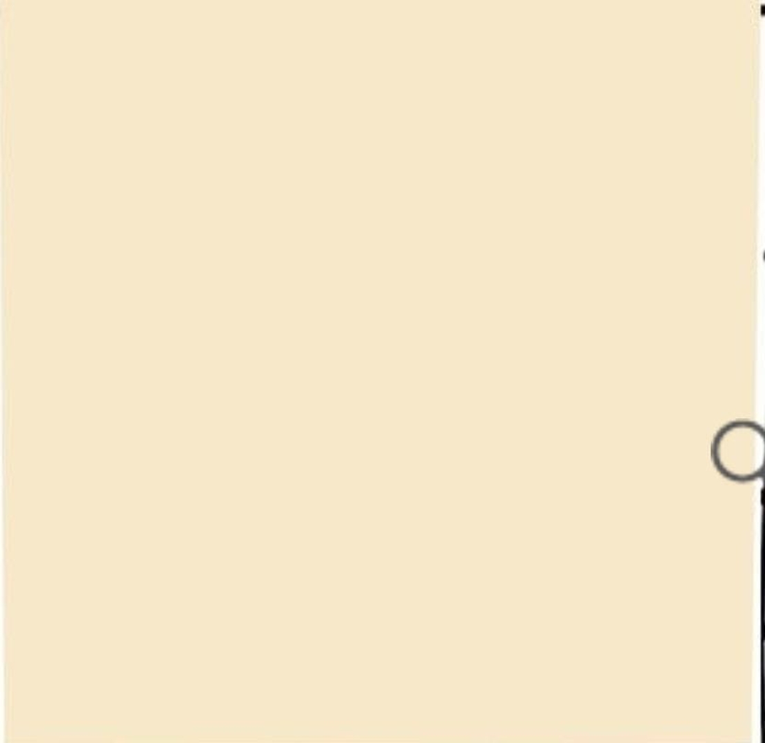 רקע נייר שמנת 2.72X11 מטר