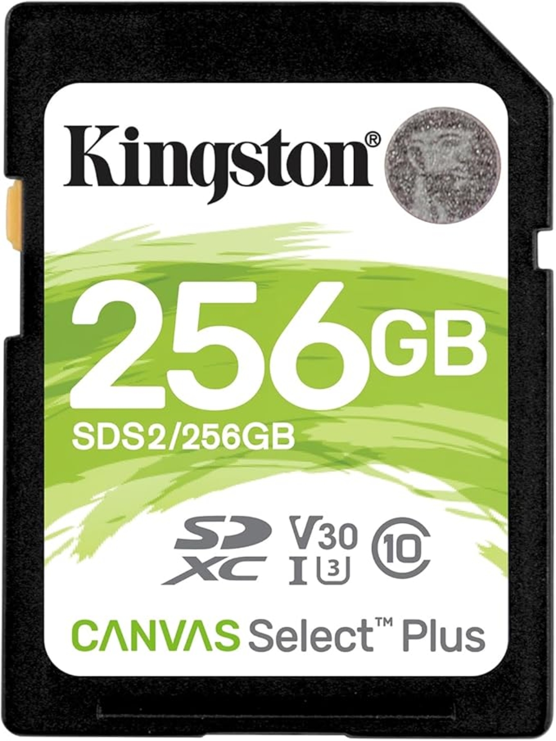 כרטיס זיכרון KINGSTONE CANVAS PLUS 256GB 100MB