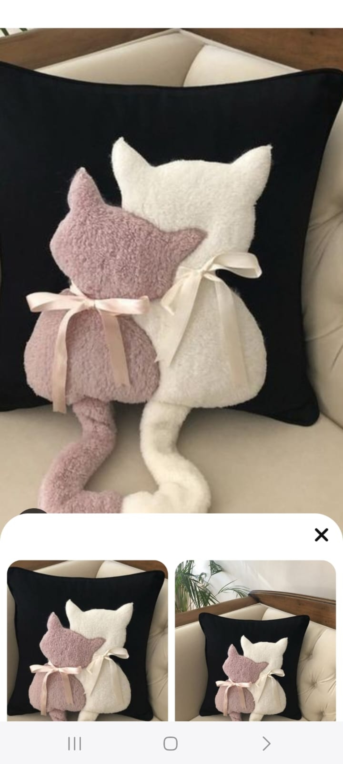 מקדמה עבור כרית החתולים