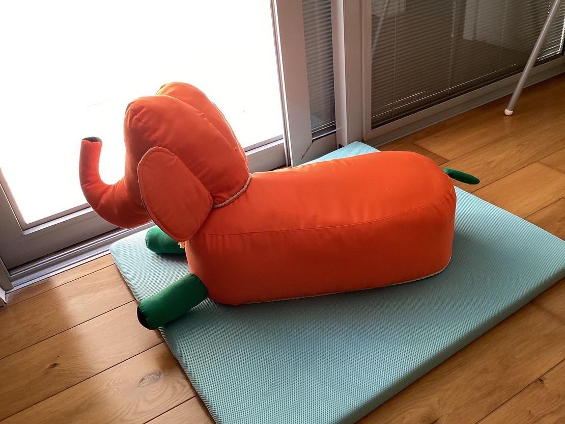 תשלום יתרה עבור בובת הפיל