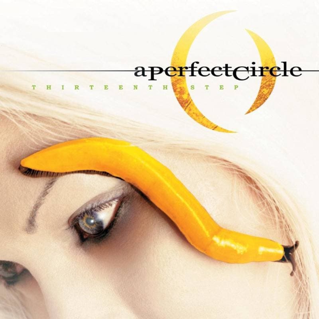 A perfect circle - Thirteen Steps