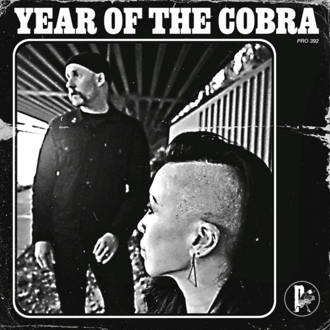 Year of The Cobra - Year of The Cobra