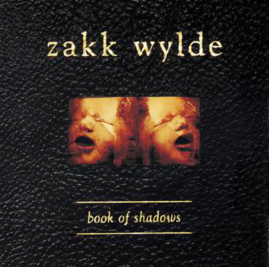 Zakk Wylde - Book of Shadows