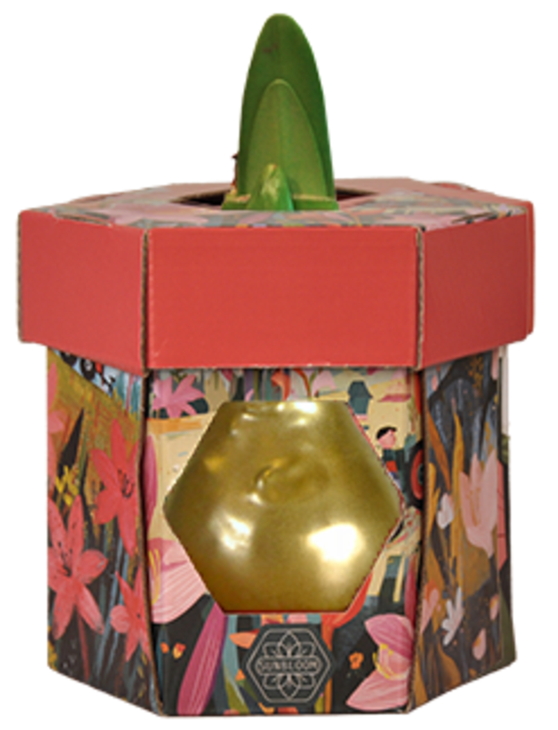 סאנבלום - ג'מבו