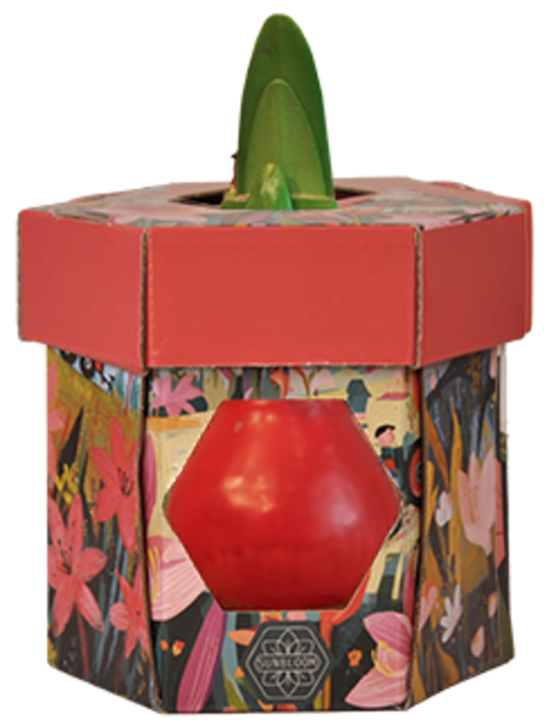 סאנבלום - ג'מבו