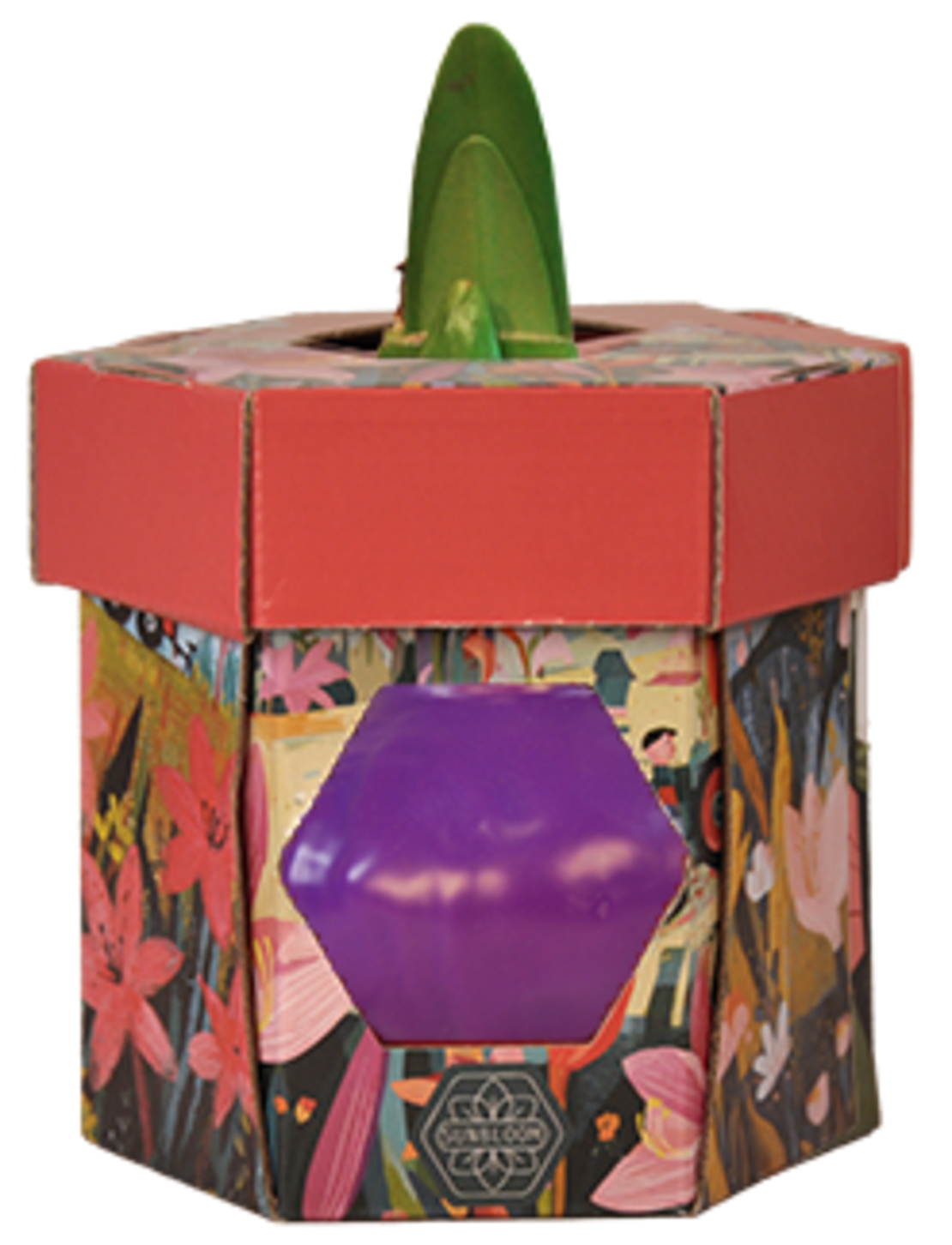 סאנבלום - ג'מבו