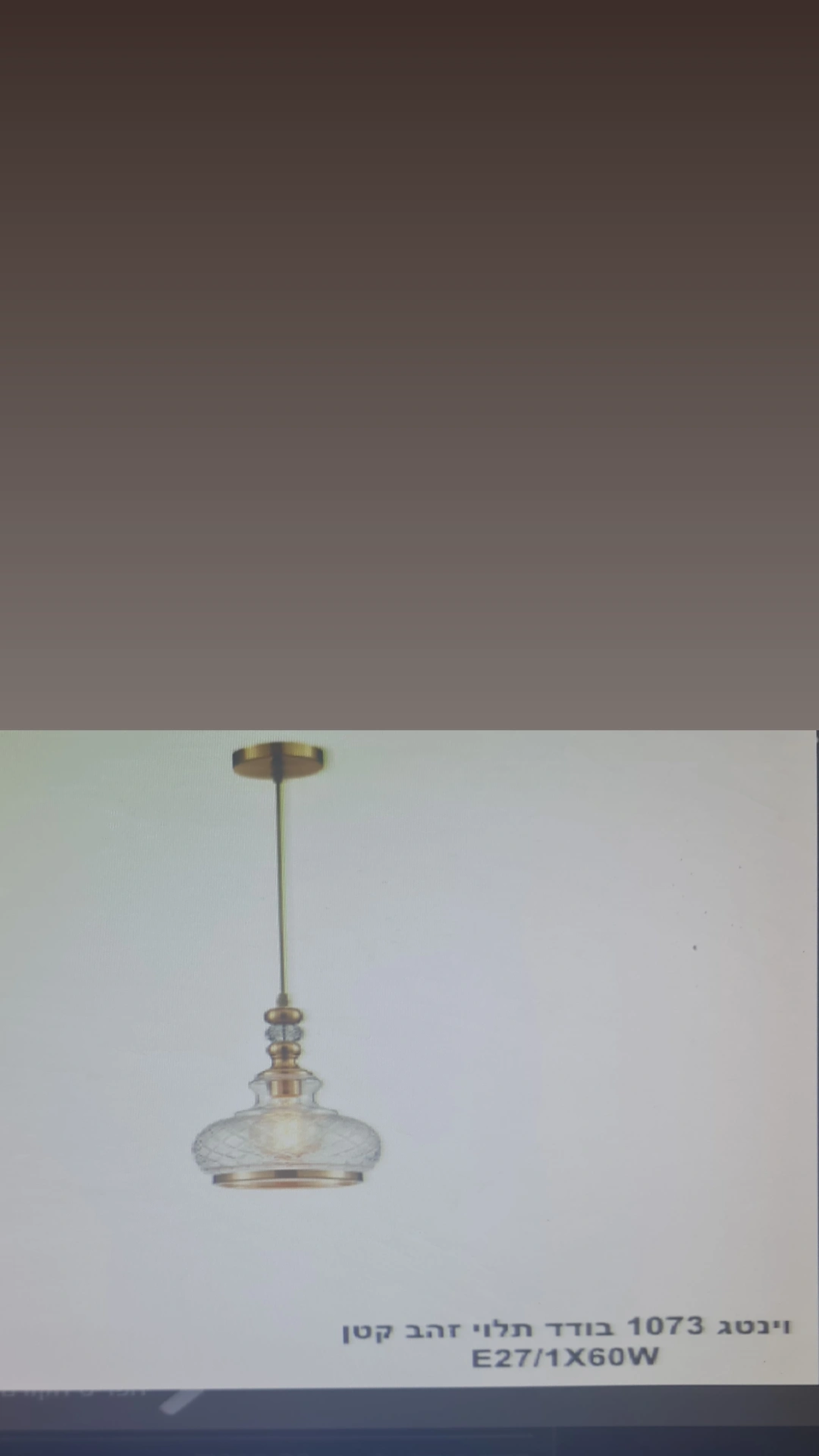 וינטג 1073 בודד תלוי זהב קטן 1x60W E27