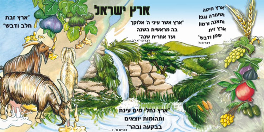 ארץ ישראל 18-703
