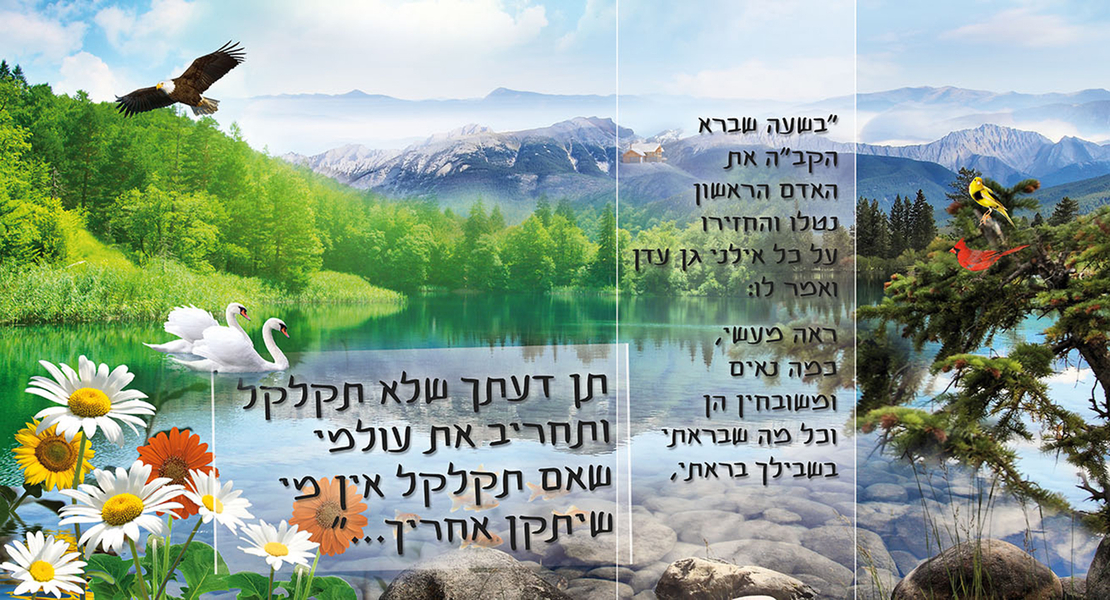 בשעה שברא 2 18-108