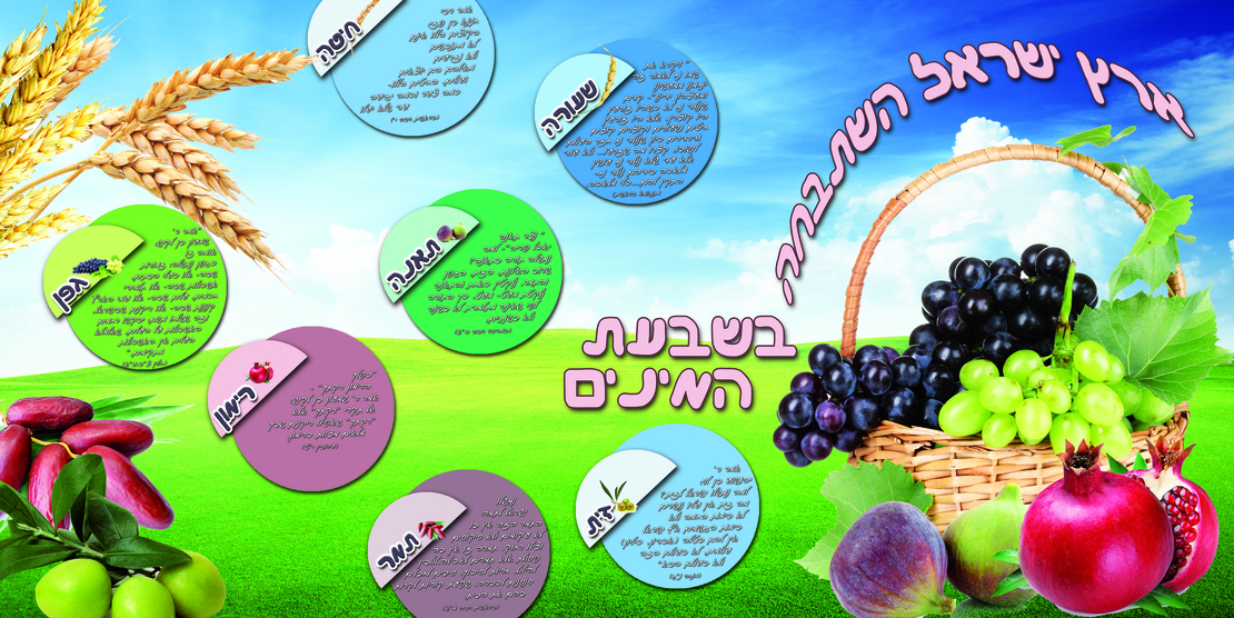 שבעת המינים 13-71