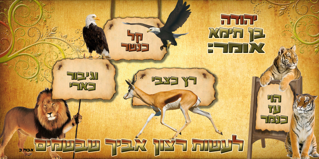 הוי עז 13-32