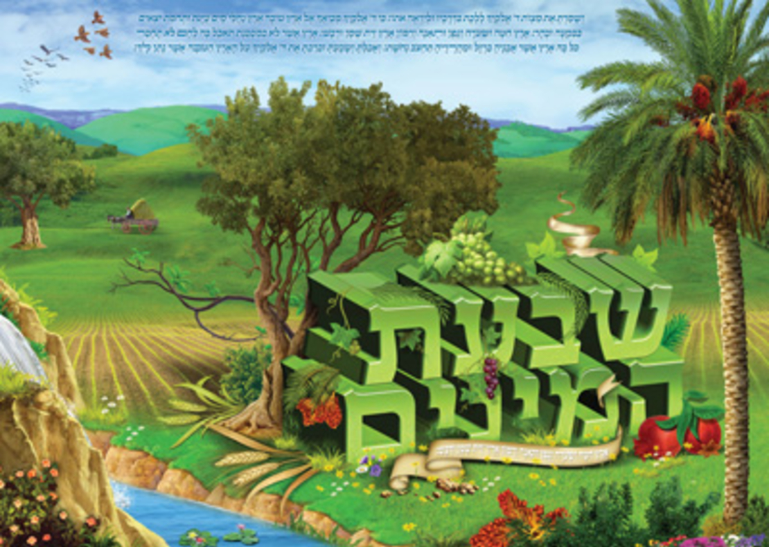 שבעת המינים 18-709