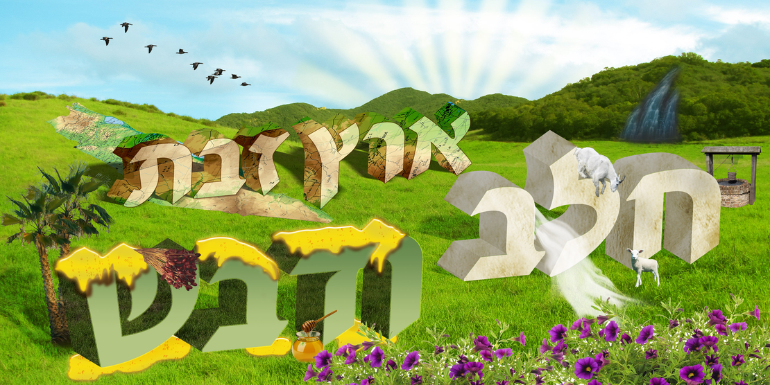 ארץ זבת חלב 13-63