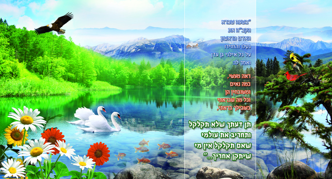 בשעה שברא 13-149