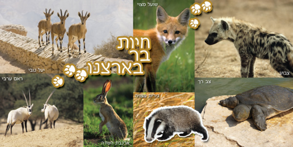 חיות בר 18-708