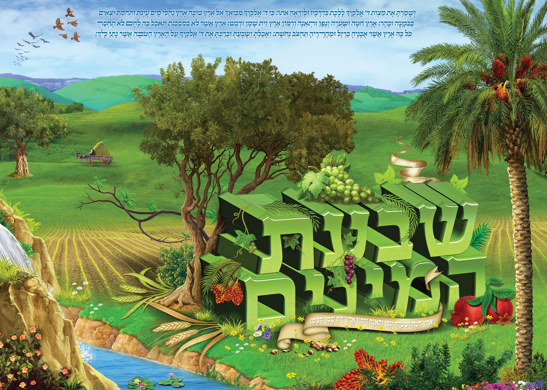 שבעת המינים 15-88