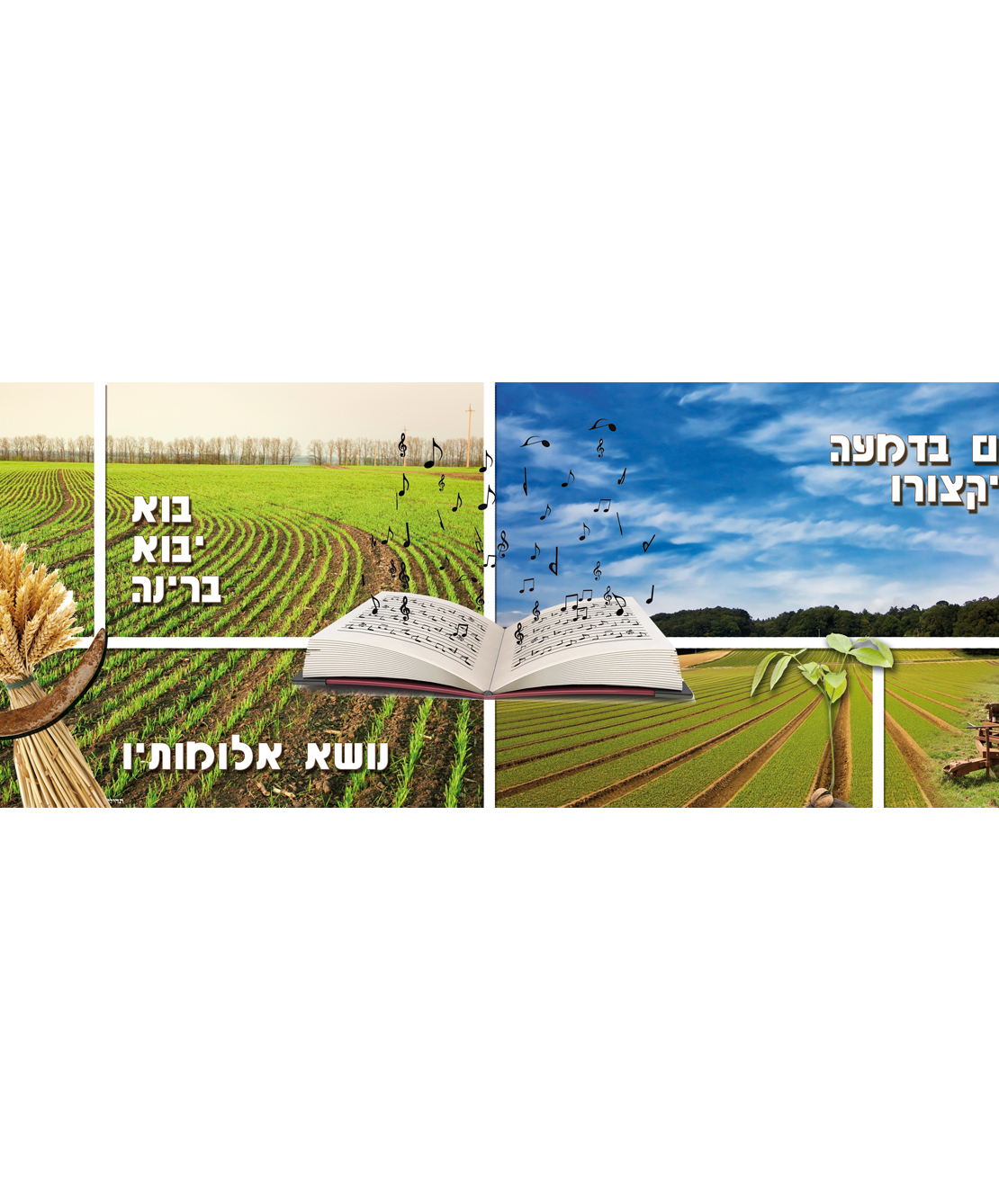 הזורעים בדמעה 13-26