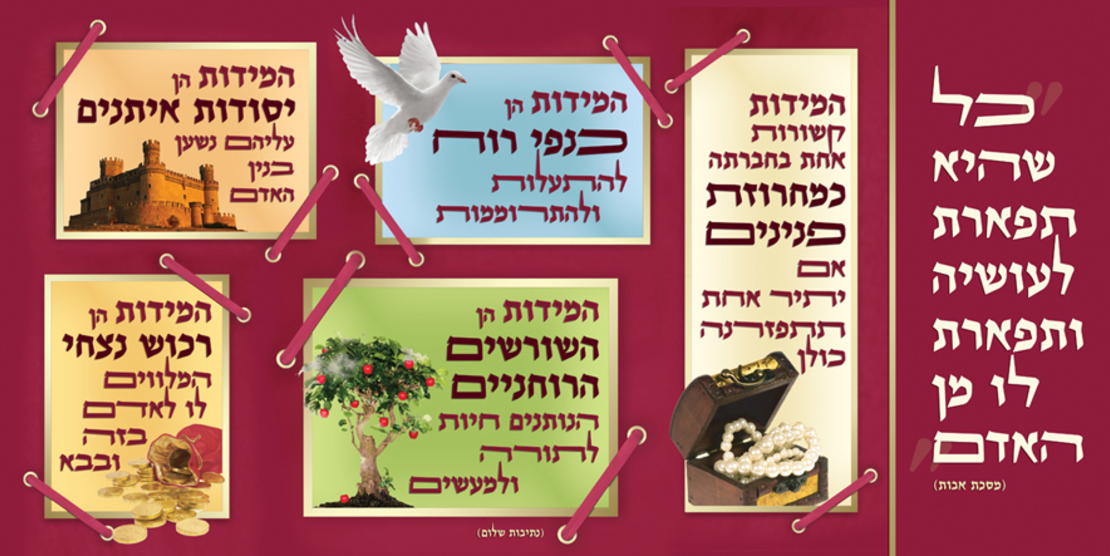 מידות 17-60