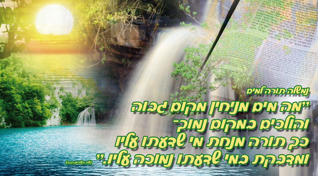 נמשלה תורה למים 15-59