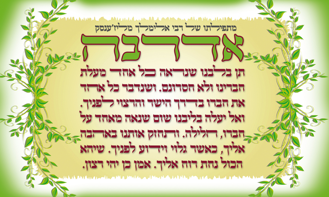 אדרבה 11-1100
