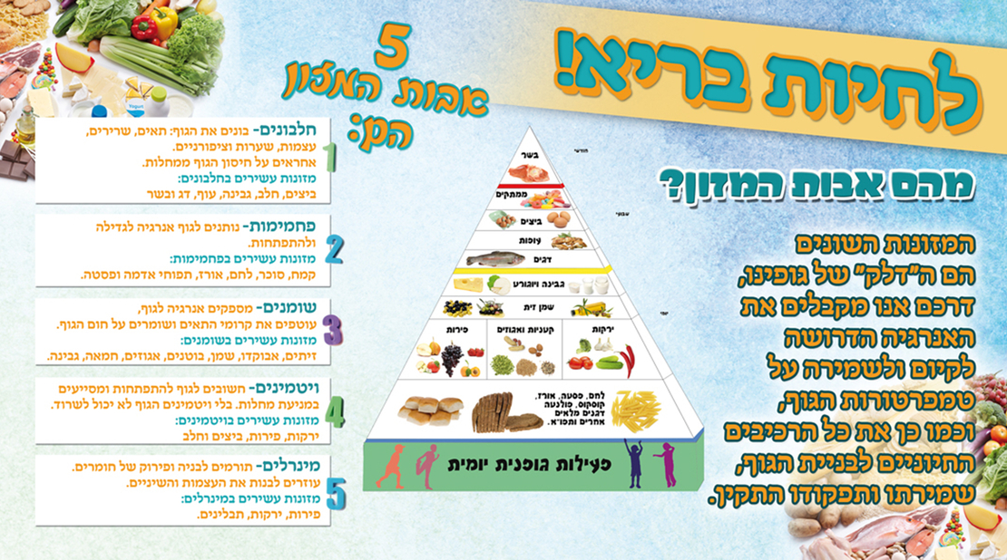 אבות המזון 18-214