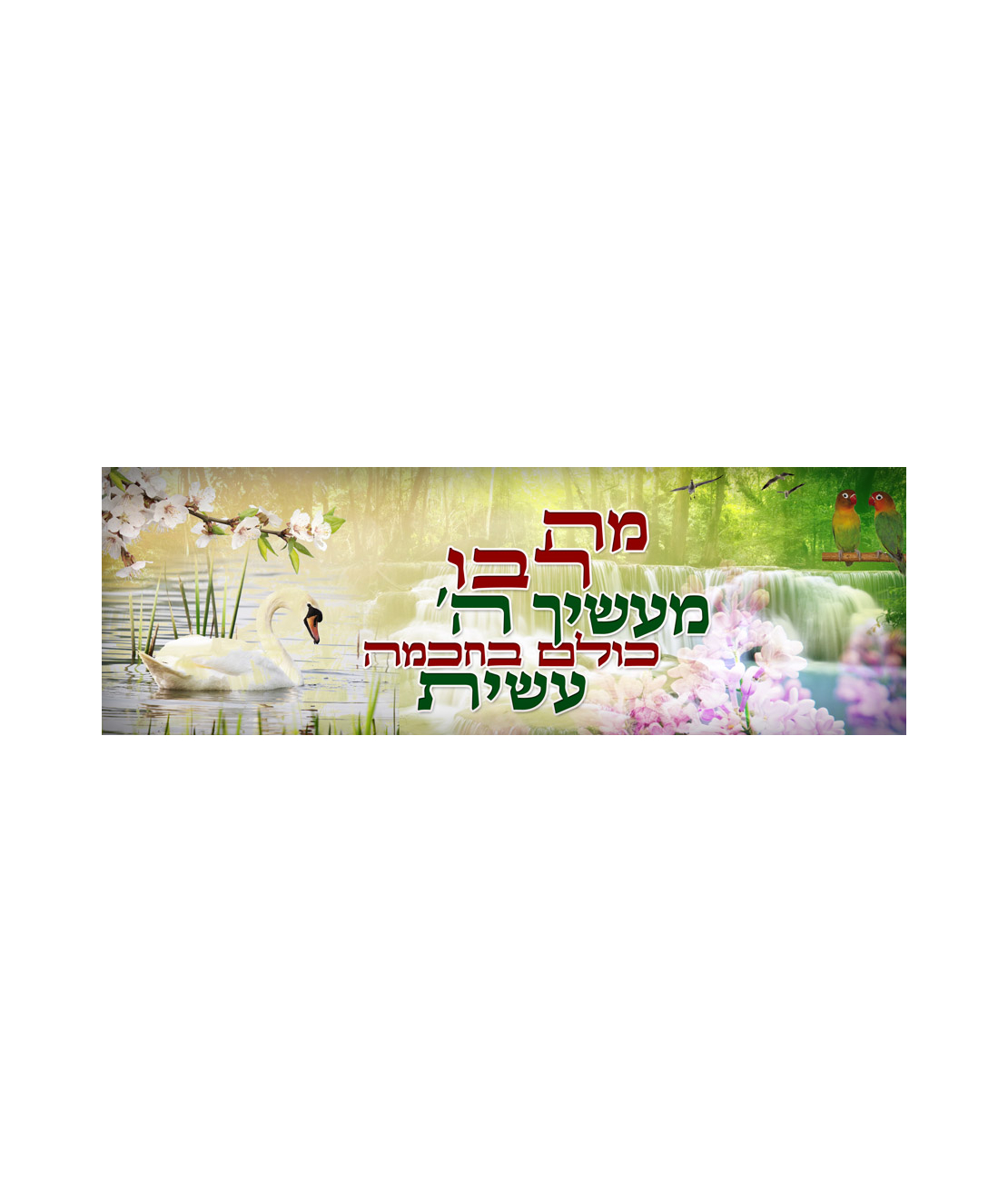 מה רבו 18-119