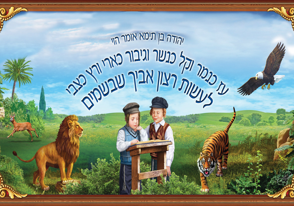 הוי עז 17-56
