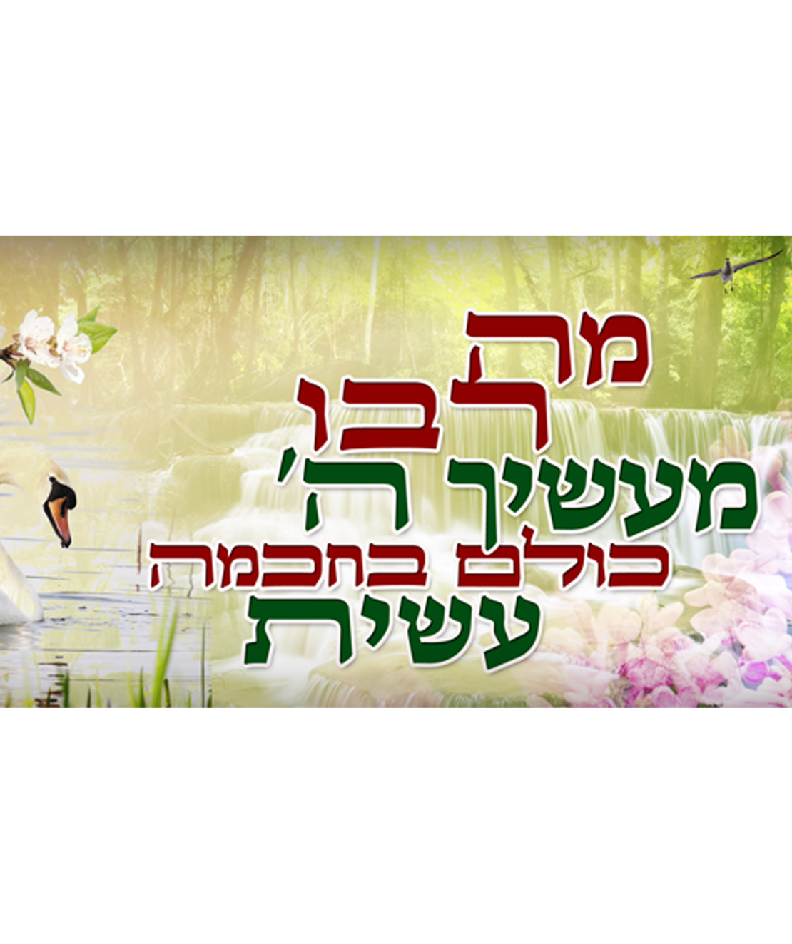מה רבו 17-192