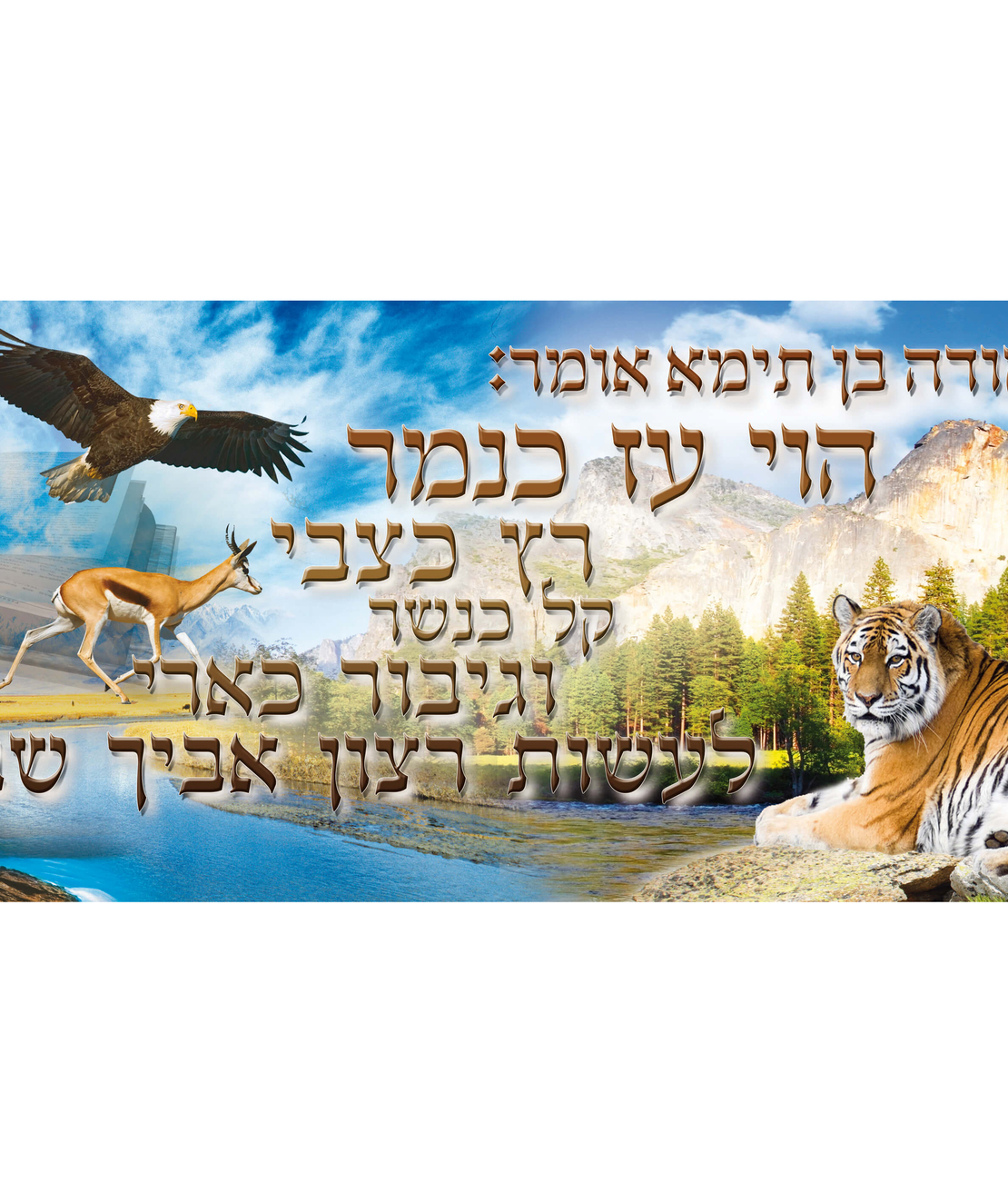 הוי עז  15-68