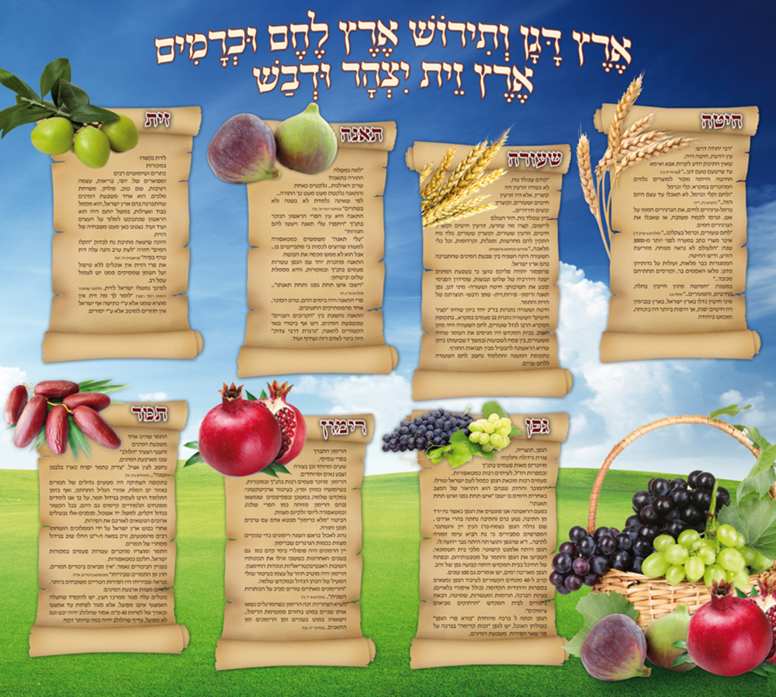 שבעת המינים 17-161