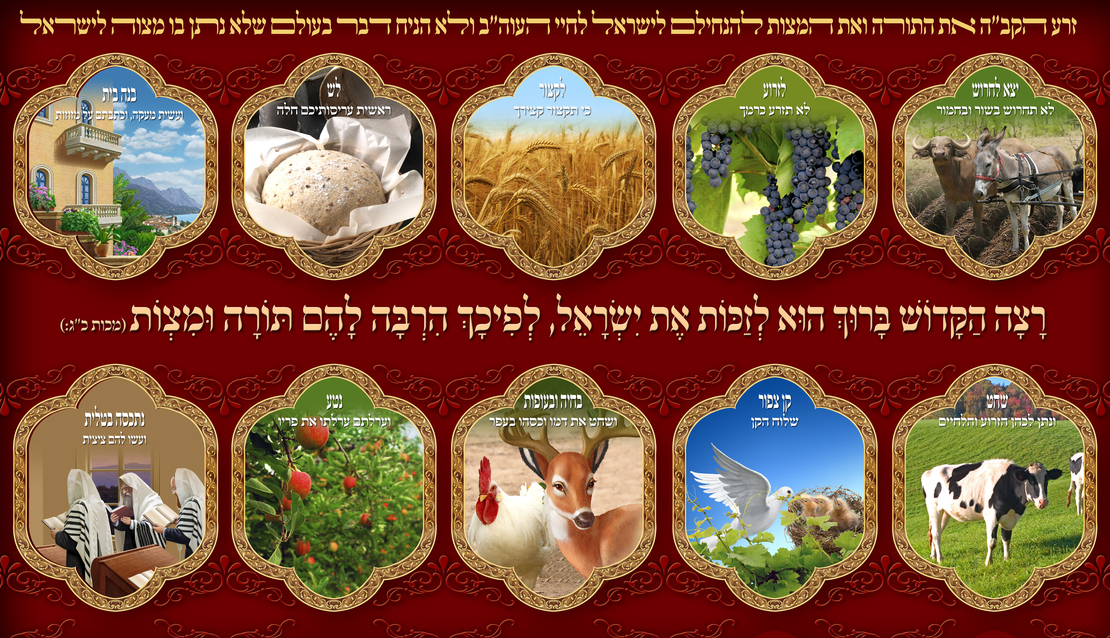 רצה הקב