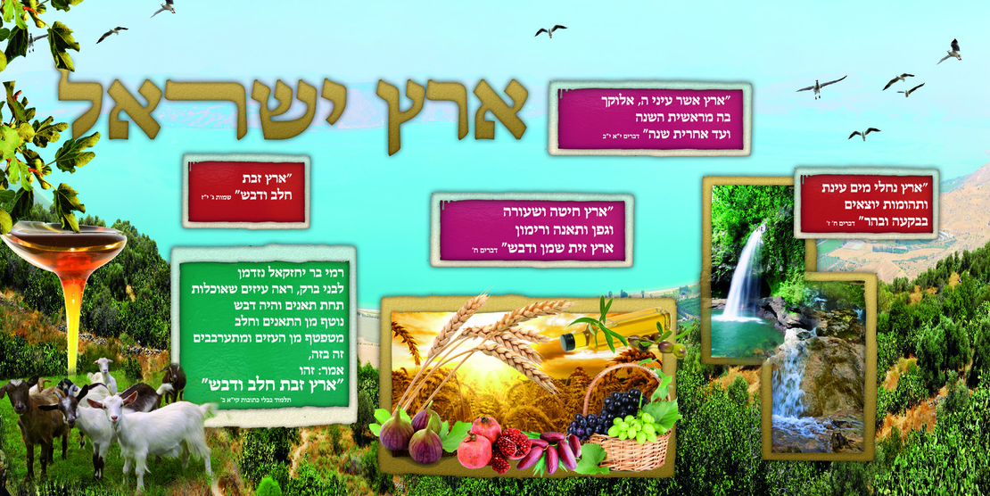 ארץ נחלי מים 15-119