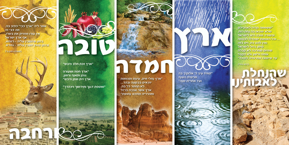 ארץ חמדה 13-62