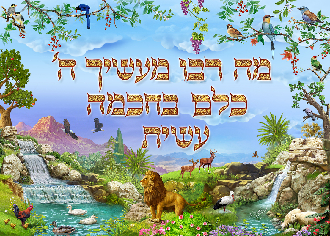 מה רבו  2 18-120