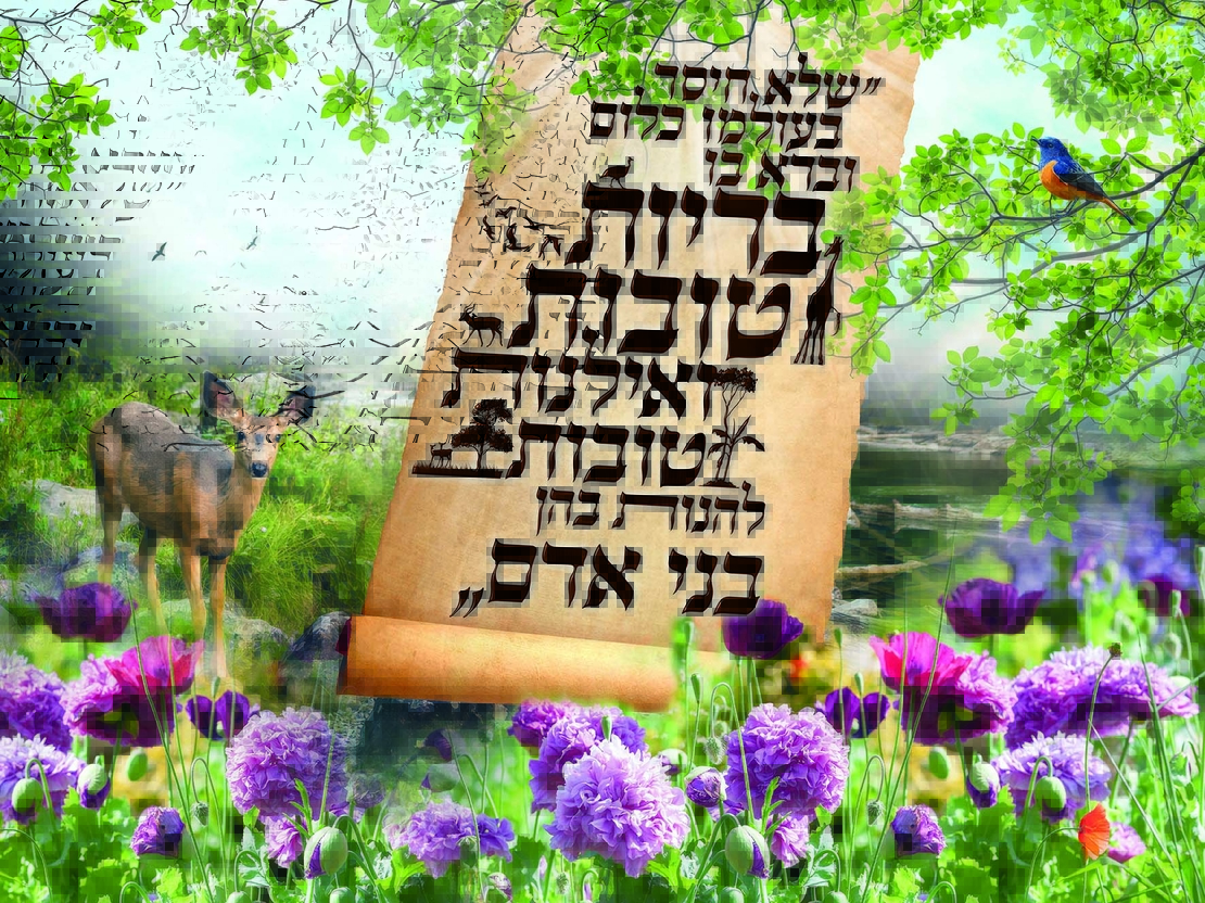 שלא יחסר 18-118
