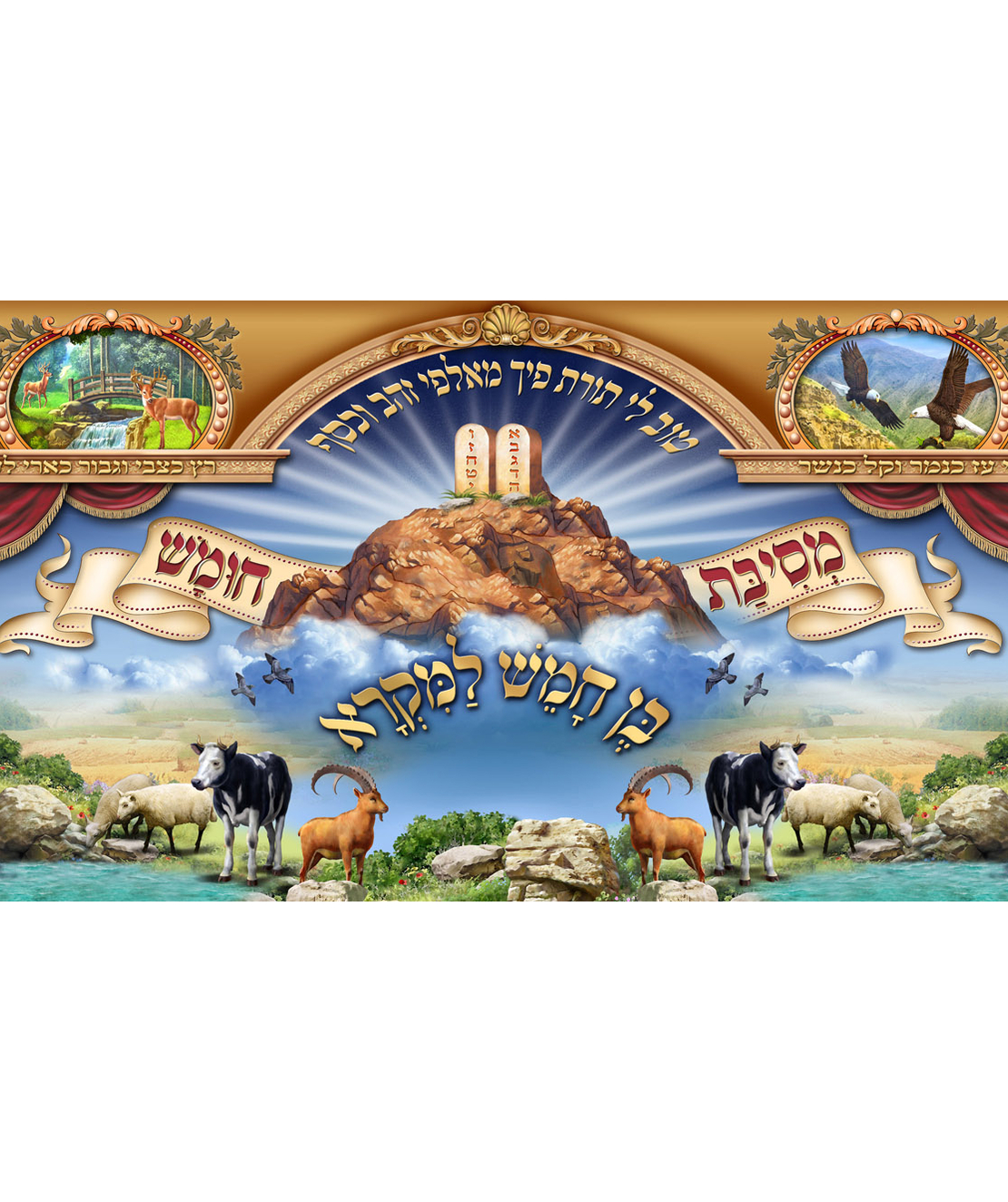 מסיבת חומש 15-65