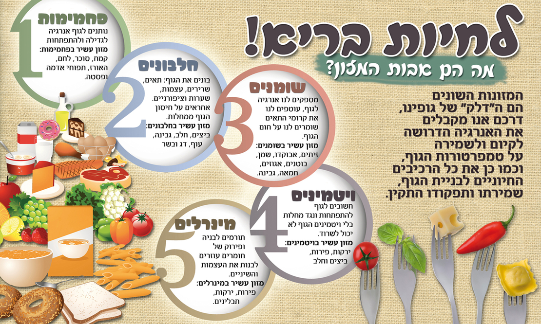 אבות המזון 18-215