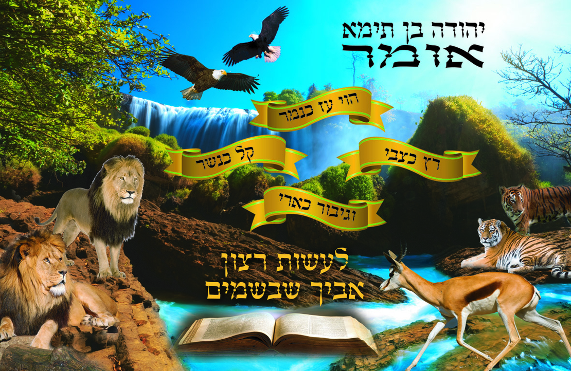 הוי עז 7-58