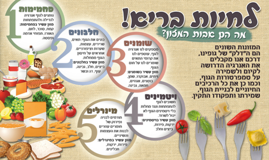 לחיות בריא 17-175