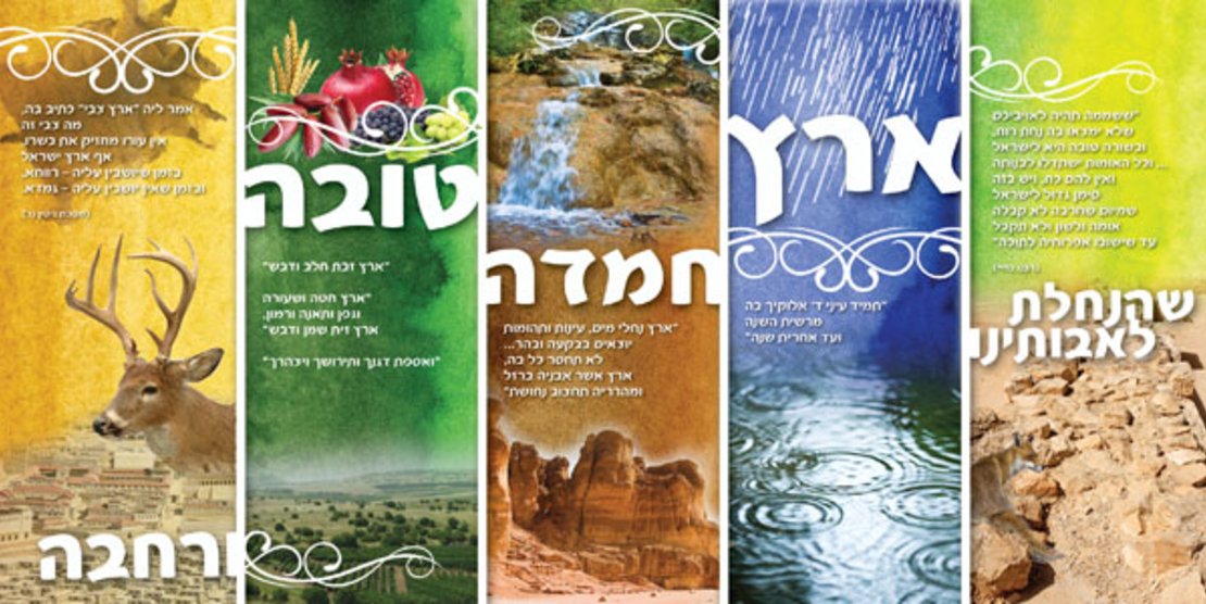 ארץ חמדה 18-705