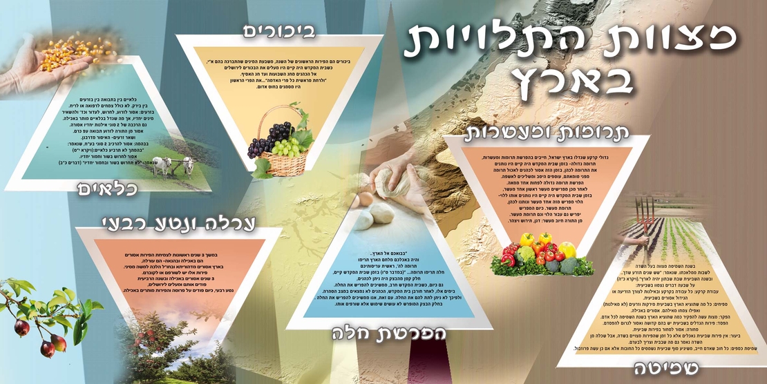 מצוות התלויות בארץ 15-3
