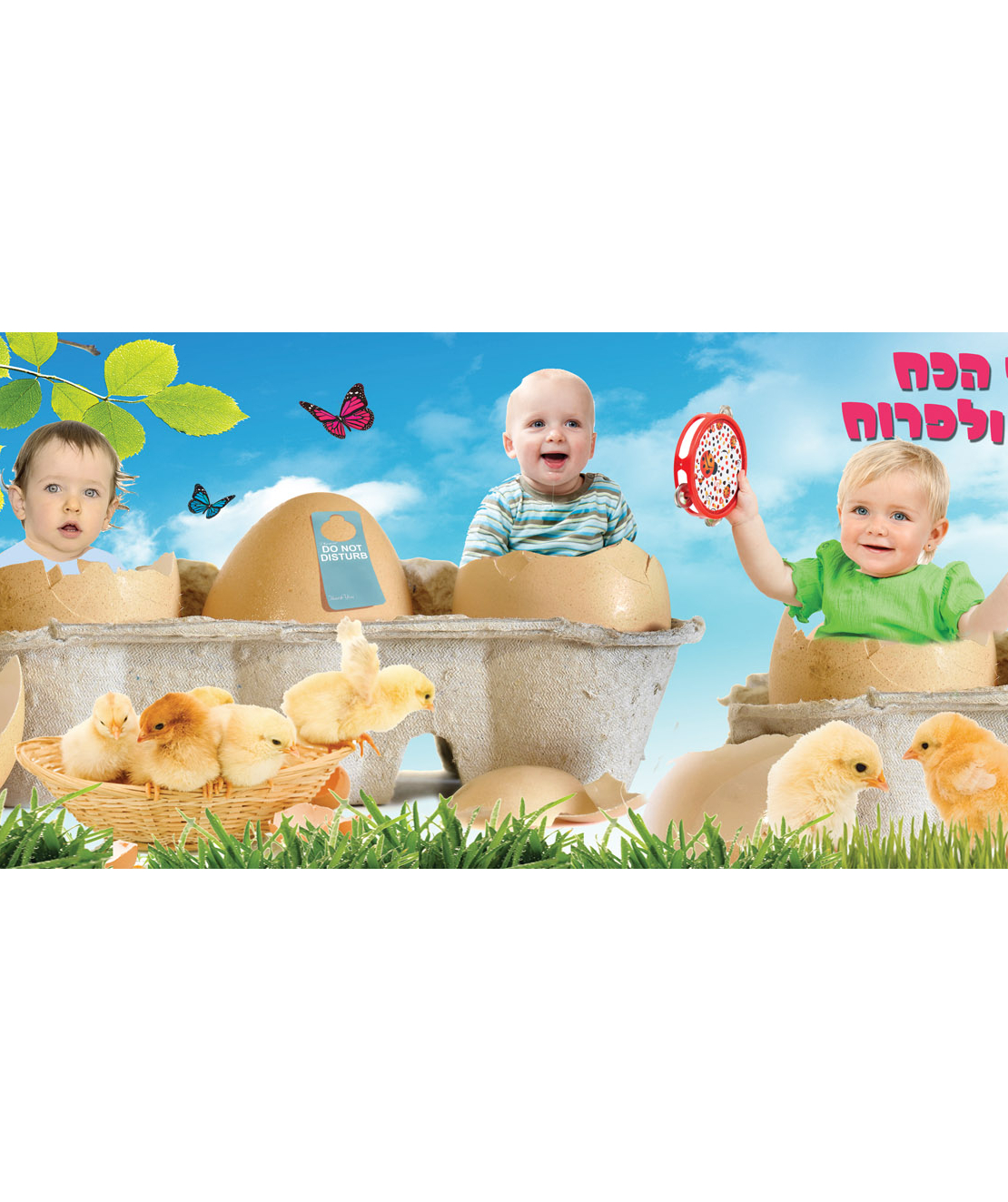 לגדול ולפרוח 20-54